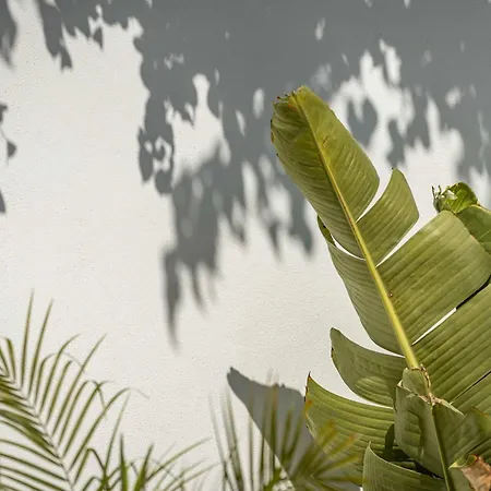 Marbesa I Pool Gym Cinema Outdoor Bbq Parking Marbella