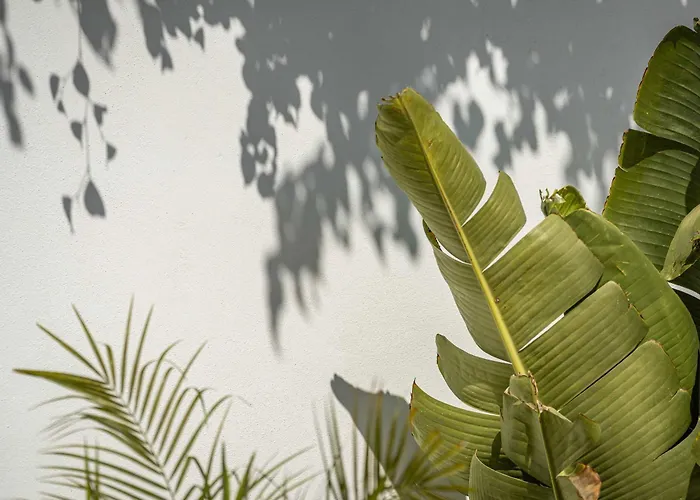 Marbesa I Pool Gym Cinema Outdoor Bbq Parking Marbella